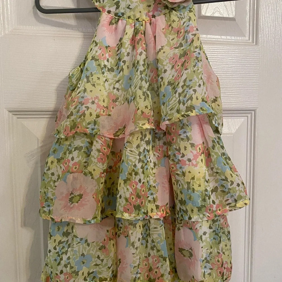 Blueberi Boulevard Trapeze Dress - Picture 2 of 7